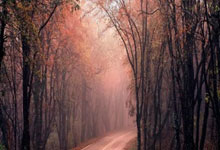 九游：卢森堡有了“倪夏莲街”！.