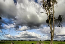 九游：搓滚网球的终极奥义！掌握这几点，让你的网前搓球直接“滚”懵对手！.