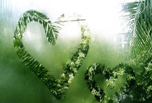 九游：卢森堡有了“倪夏莲街”！.