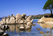 九游：搓滚网球的终极奥义！掌握这几点，让你的网前搓球直接“滚”懵对手！.